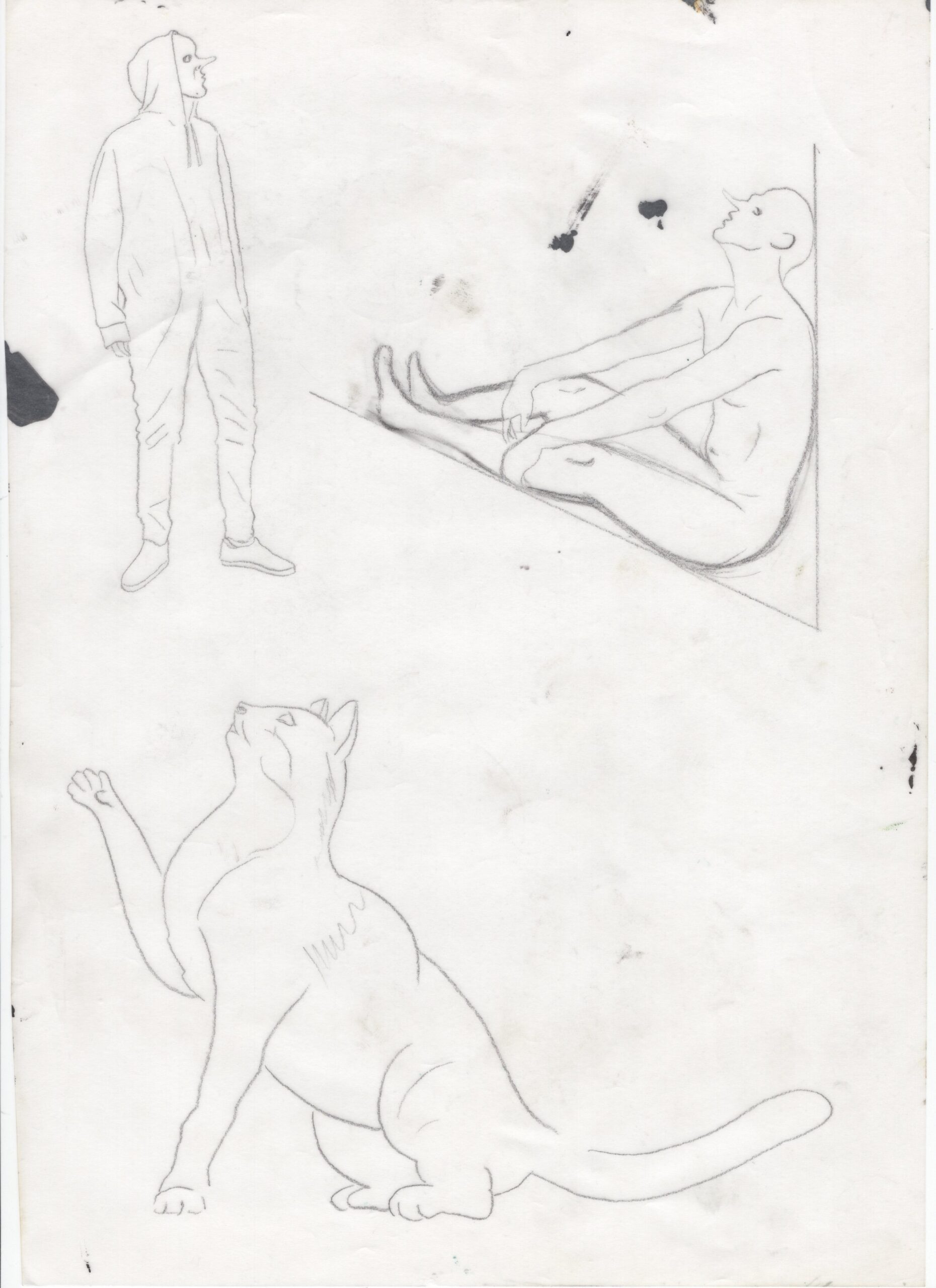 Estudios para murales, 2013-2017, Dibujo sobre distintos papeles. Medidas variables.