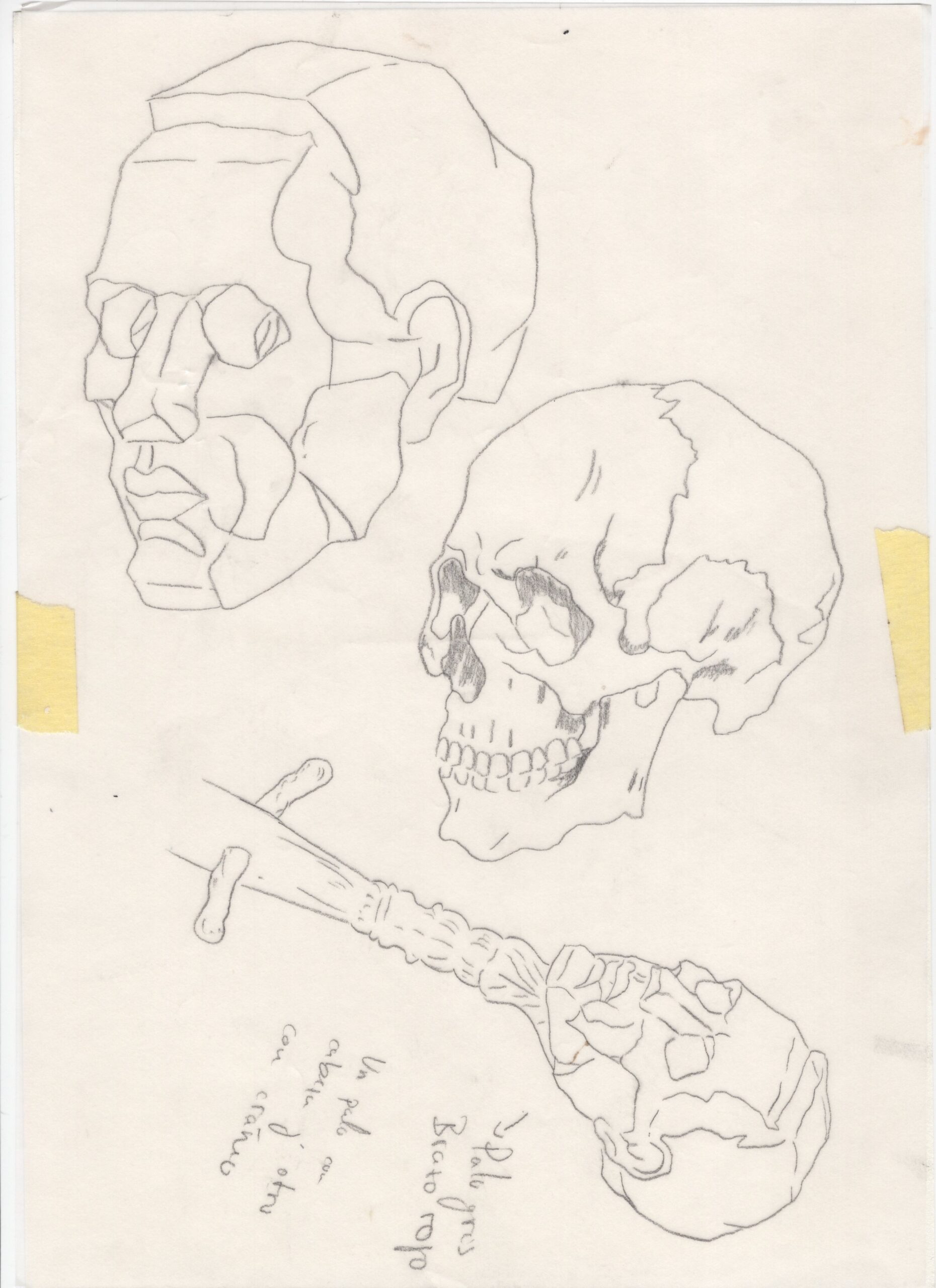 Estudios para murales, 2013-2017, Dibujo sobre distintos papeles. Medidas variables.