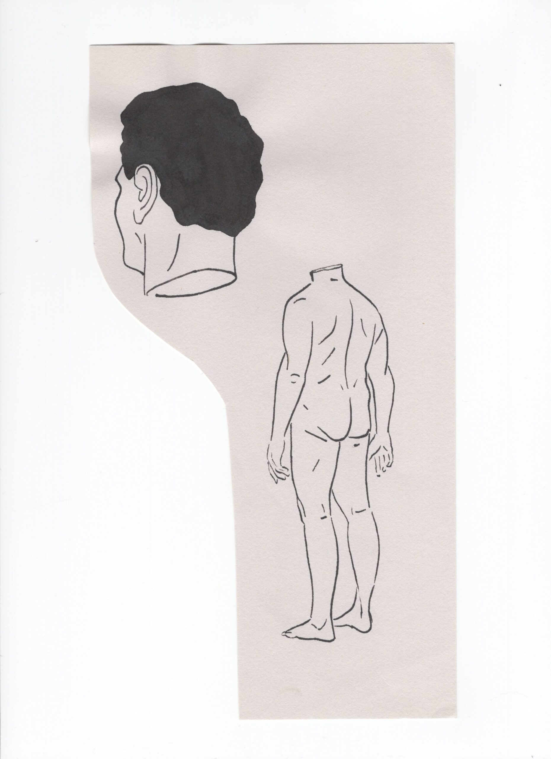 Estudios para murales, 2013-2017, Dibujo sobre distintos papeles. Medidas variables.