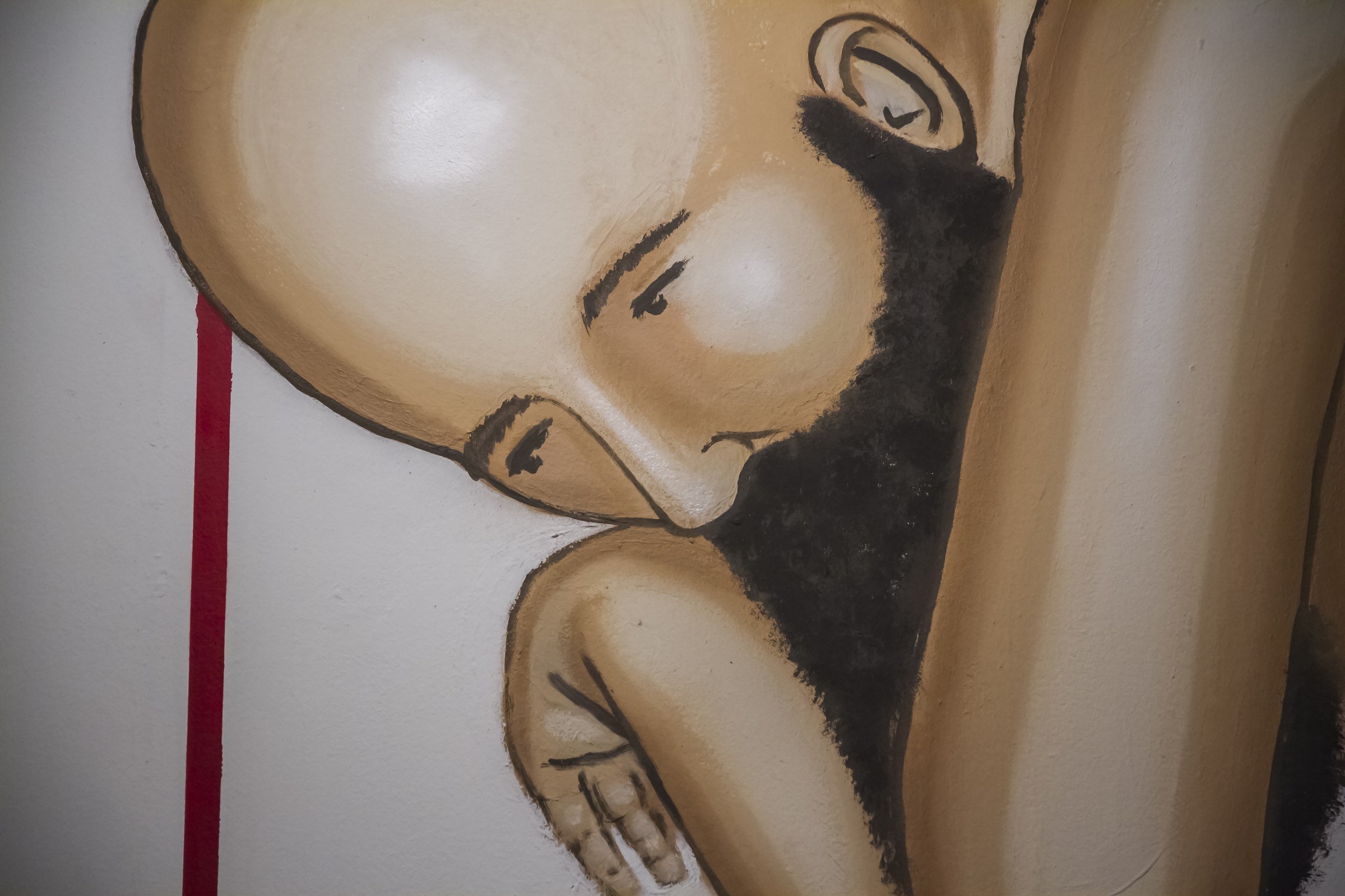 Dentro, 2013-2017, Pintura mural sobre pared. Medidas variables. Málaga. 2014